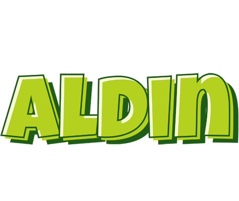 Aldin summer logo