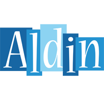 Aldin winter logo