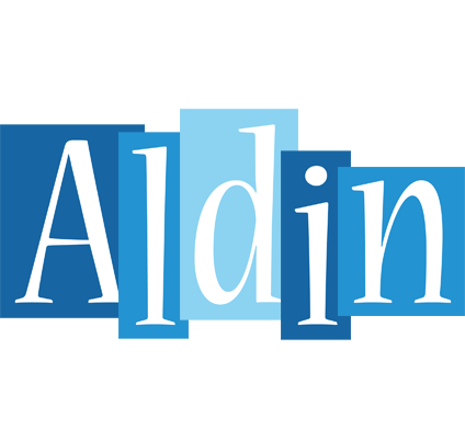Aldin winter logo
