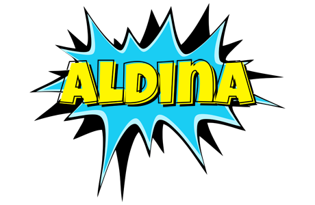 Aldina amazing logo