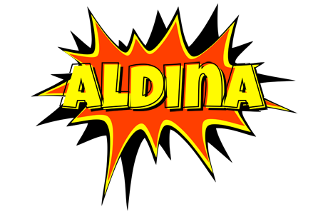 Aldina bazinga logo