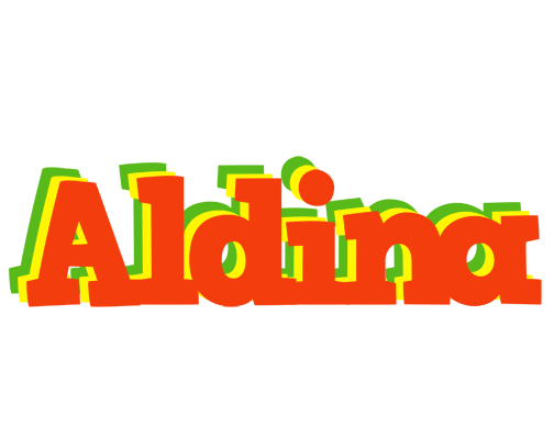 Aldina bbq logo