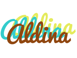 Aldina cupcake logo