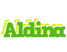 Aldina picnic logo