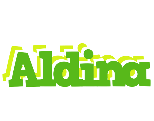 Aldina picnic logo