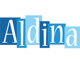 Aldina winter logo