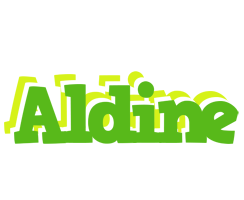 Aldine picnic logo