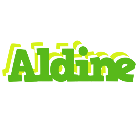 Aldine picnic logo