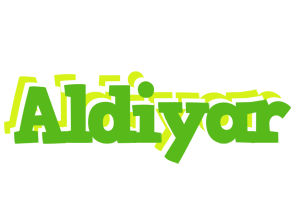 Aldiyar picnic logo