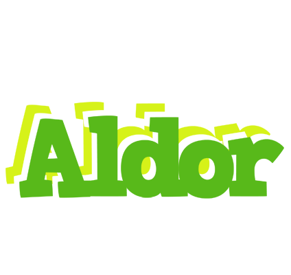 Aldor picnic logo