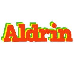 Aldrin bbq logo