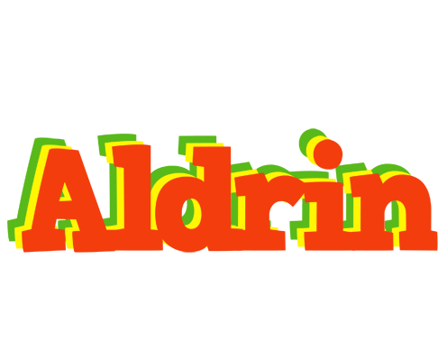 Aldrin bbq logo
