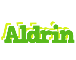 Aldrin picnic logo