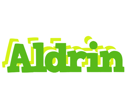 Aldrin picnic logo
