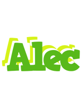 Alec picnic logo