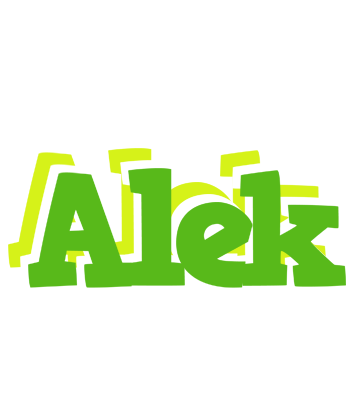 Alek picnic logo