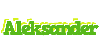 Aleksander picnic logo