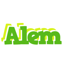 Alem picnic logo