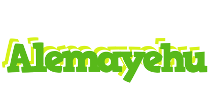 Alemayehu picnic logo