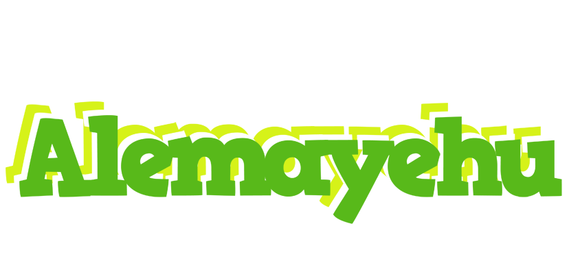 Alemayehu picnic logo