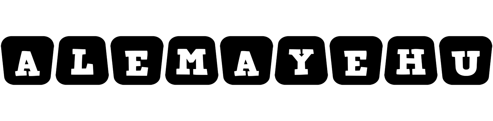 Alemayehu racing logo
