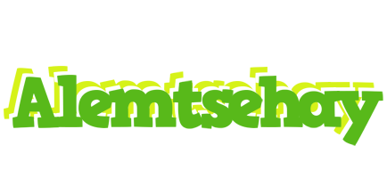 Alemtsehay picnic logo