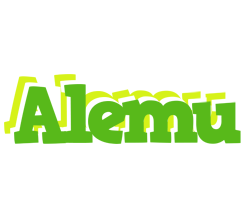 Alemu picnic logo