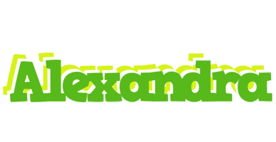 Alexandra picnic logo