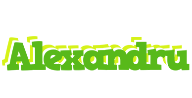 Alexandru picnic logo