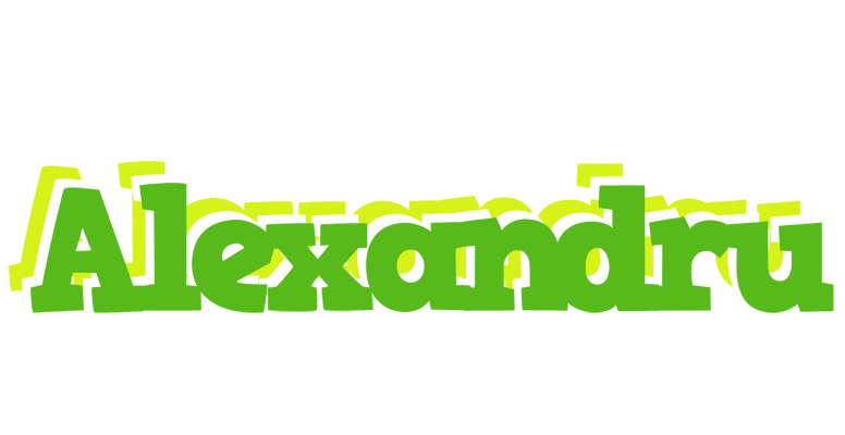 Alexandru picnic logo