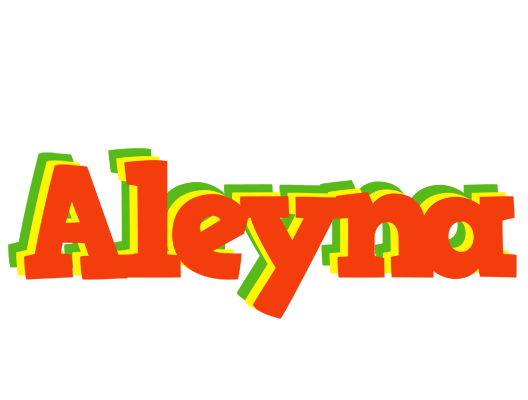 Aleyna bbq logo