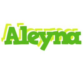 Aleyna picnic logo