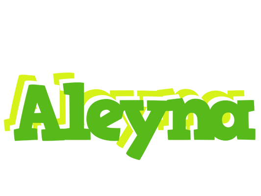 Aleyna picnic logo