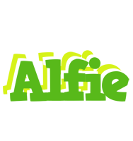 Alfie picnic logo