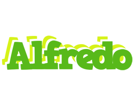 Alfredo picnic logo