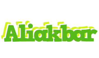 Aliakbar picnic logo