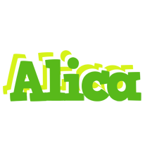 Alica picnic logo