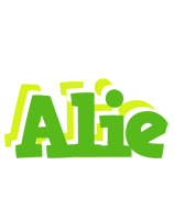 Alie picnic logo