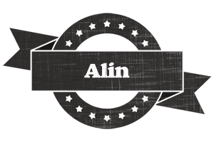 Alin grunge logo