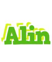 Alin picnic logo