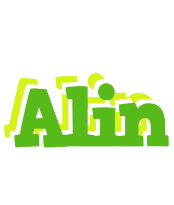 Alin picnic logo