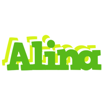 Alina picnic logo