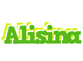 Alisina picnic logo