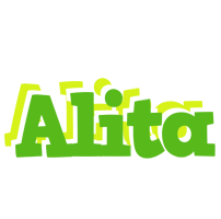 Alita picnic logo