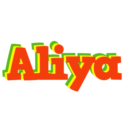 Aliya bbq logo