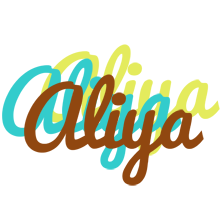 Aliya cupcake logo