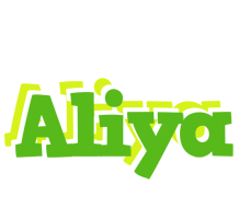 Aliya picnic logo