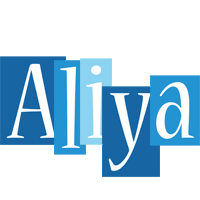 Aliya winter logo