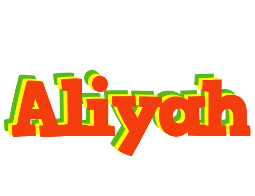 Aliyah bbq logo