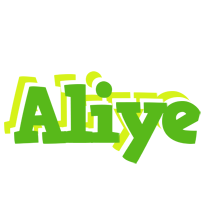 Aliye picnic logo